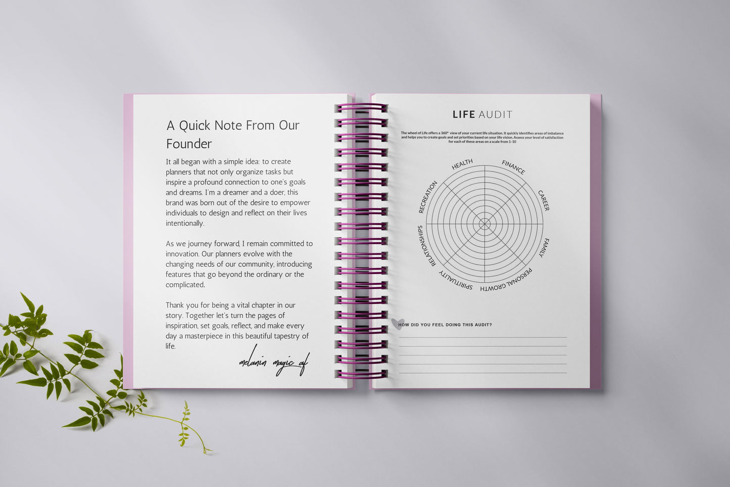 Pink Cut The Check Undated Planner + Free Gold Pen & Gold Paper Clips [PREORDER Ship Date 12/09]