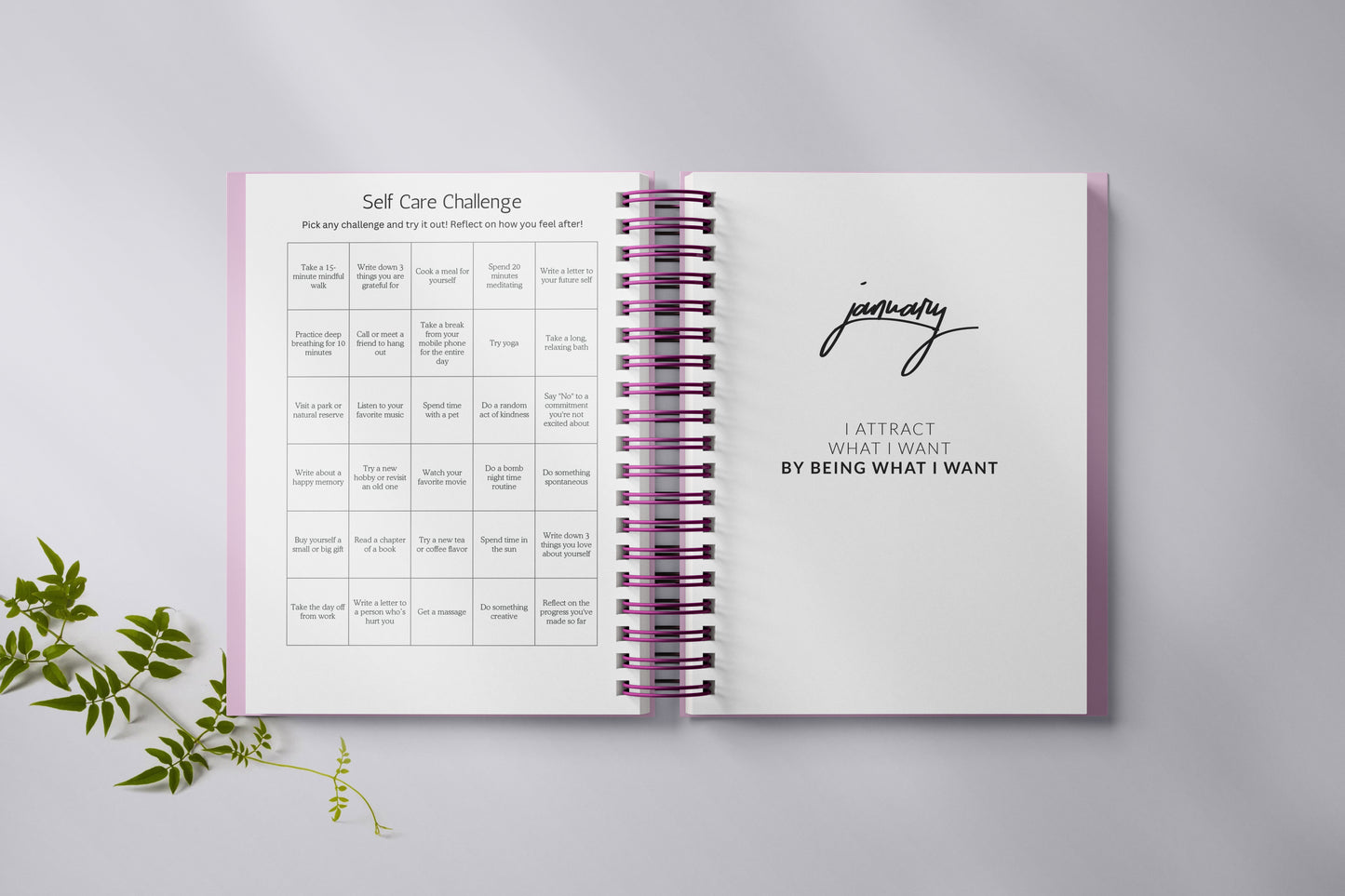 Pink Cut The Check Undated Planner + Free Gold Pen & Gold Paper Clips [PREORDER Ship Date 12/09]